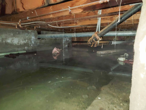 Trusted West Pittston, PA Water damage restoration Experts