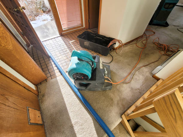 Best Water damage contractors near me  in West Pittston, PA