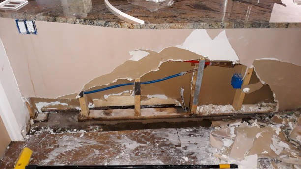 Best Professional water damage repair  in West Pittston, PA