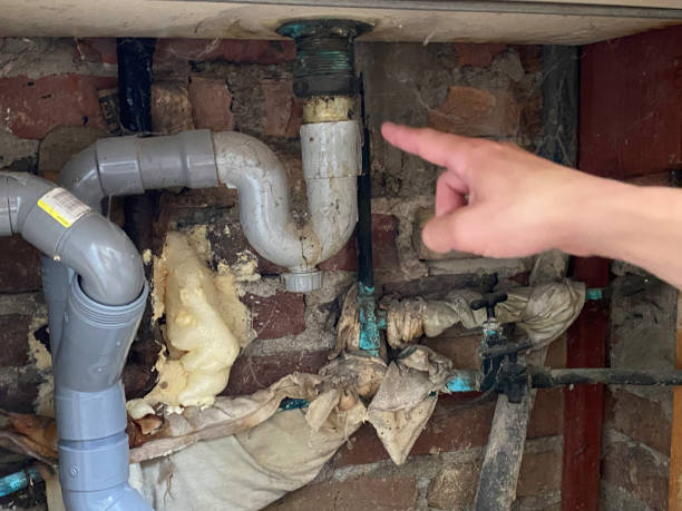 Best Flooded house restoration  in West Pittston, PA